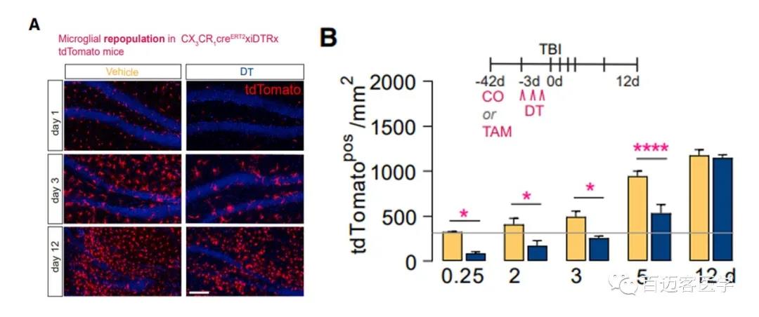 先進(jìn)技術(shù) 完美質(zhì)量 南昌礦機(jī)大型GC旋回破碎機(jī)順利試車(chē)